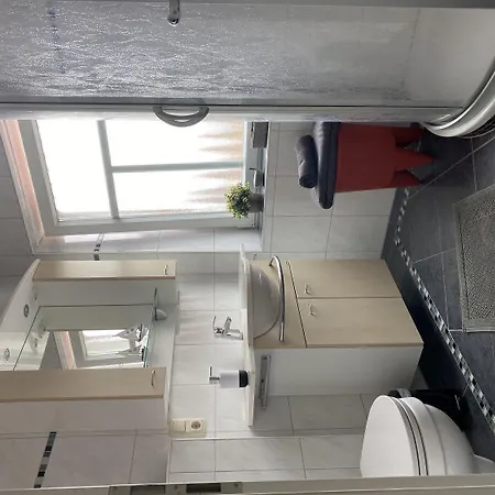 Diekbloeoem * Norden